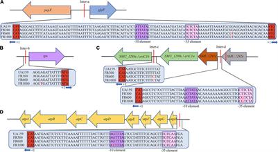 F0F1-ATPase Contributes to the Fluoride Tolerance and Cariogenicity of Streptococcus mutans